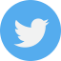 Logo twitter